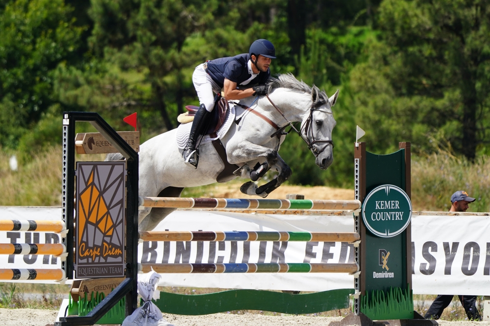 photo des chevaux ffe sif